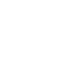 زرین دانه فرد