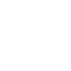 زرین دانه دال